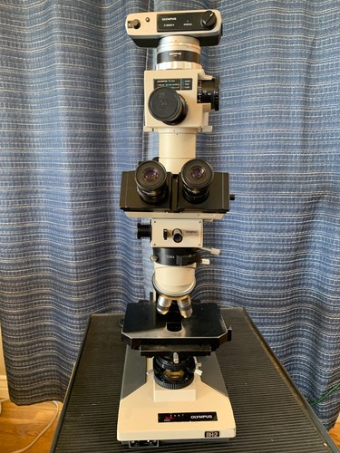 Olympus BH-2 Microscope Dual View Trinocular Photomicrography Setup WK 10X/20L - Picture 2 of 21