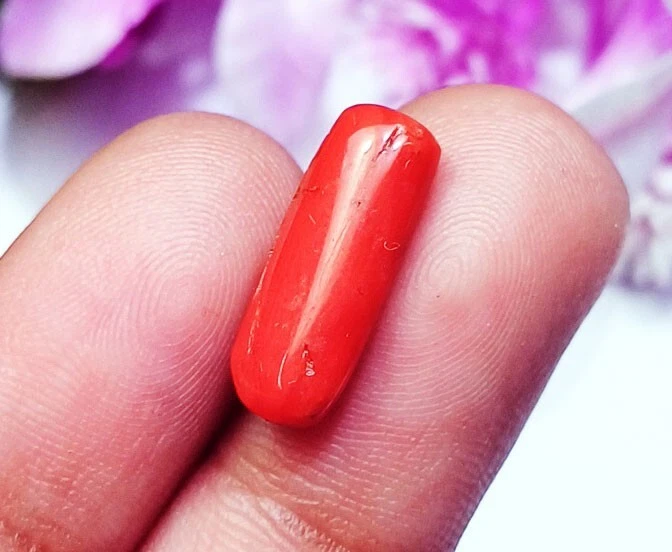 Natural Ox Blood Red Coral Loose Gemstone 3.90+ Ct Certified Stone On eBay - Image 4 of 4