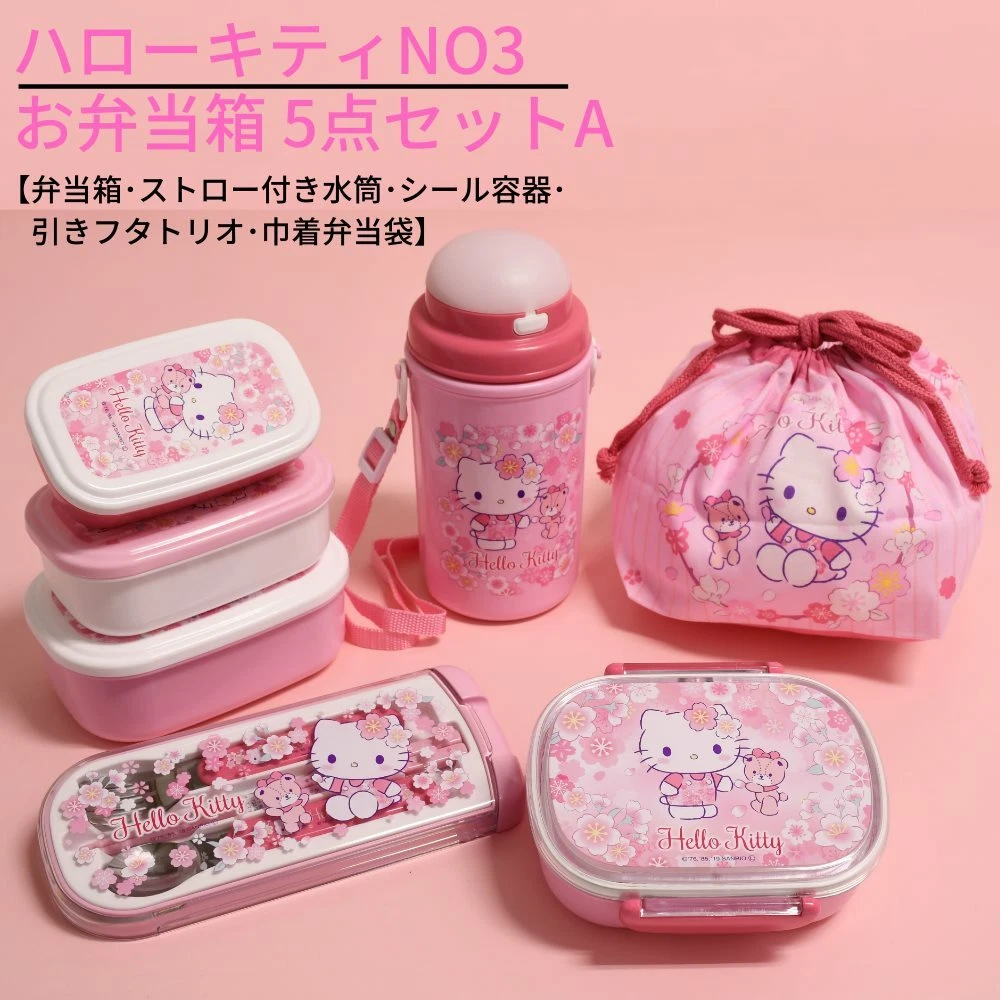 Japan Sanrio HELLO KITTY lunch box & cutlery & container & water bottle 5set