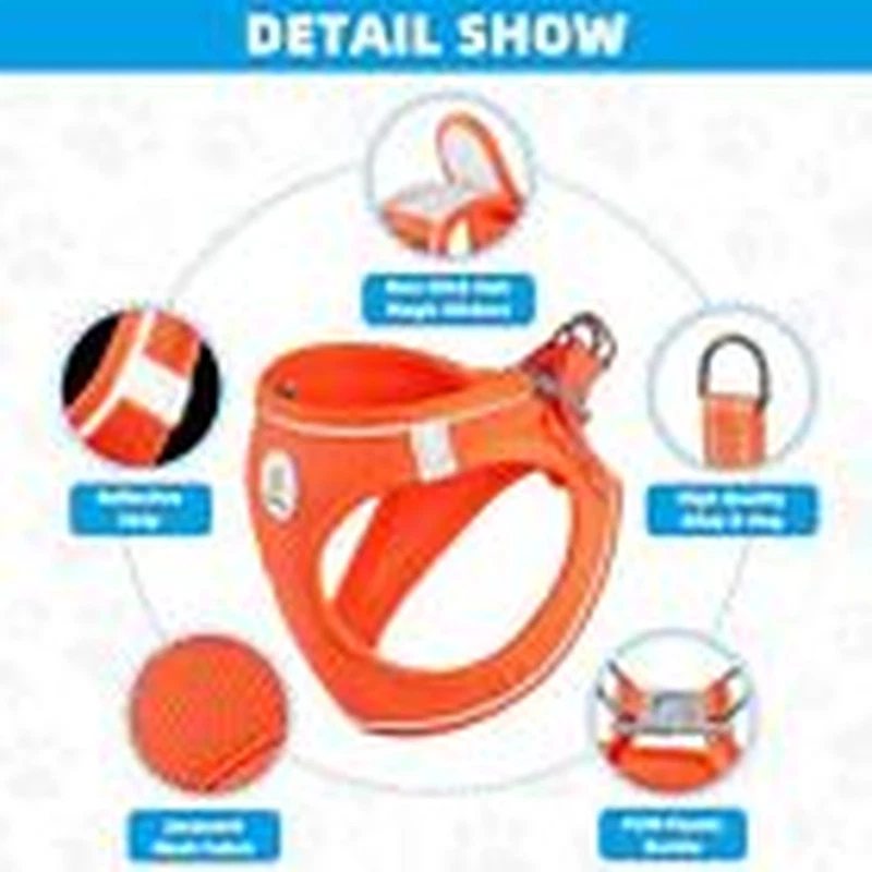 Dog Harness with Leash Set, X-S(9.5-10.5"N
