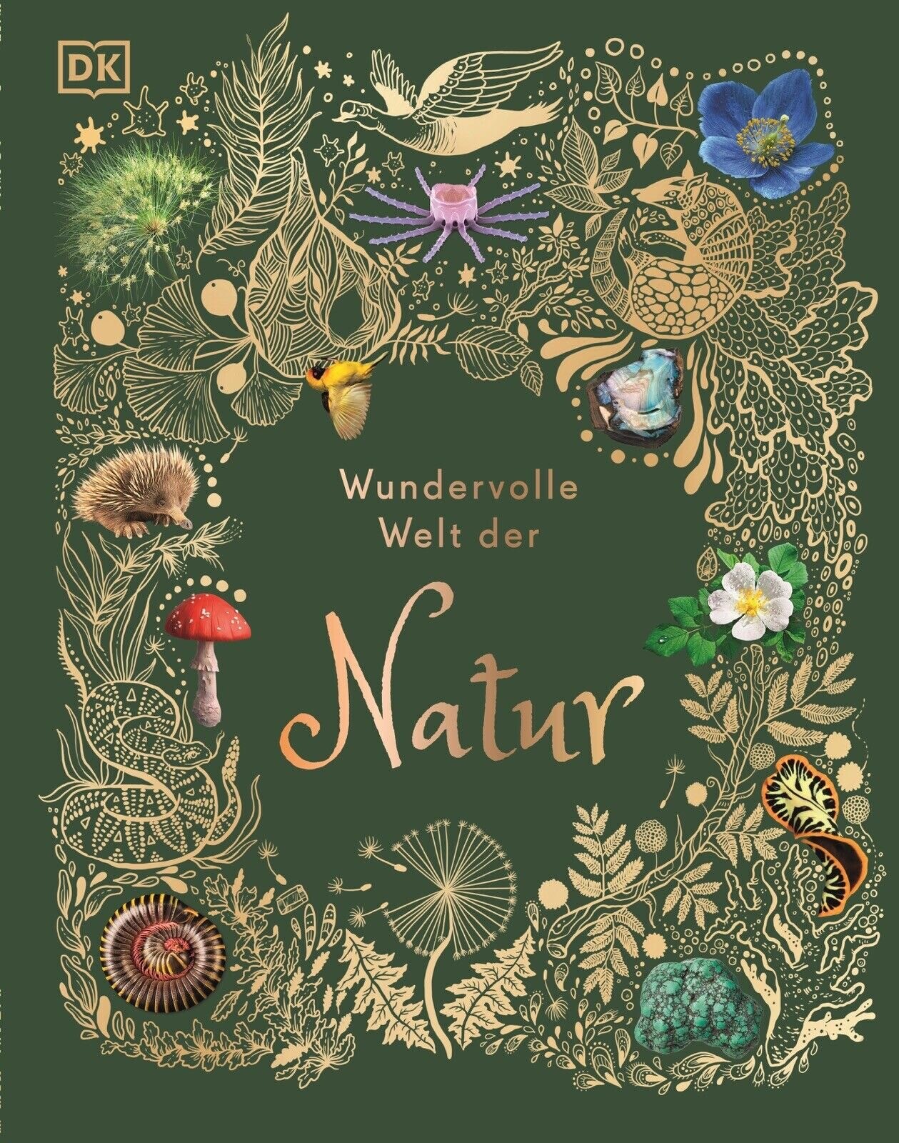 Thumbnail - Wundervolle Welt Der Natur | Ein Naturbilderbuch Für Die Ganze Familie