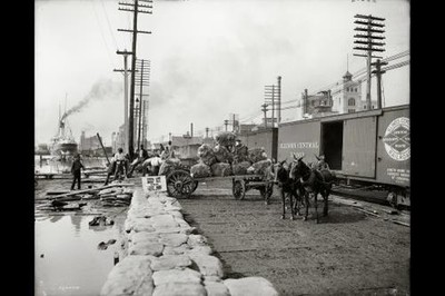 Mule teams,railroad freight cars,wagons,levee,New Orleans,Louisiana,LA,1900