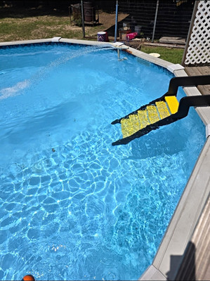 The WAG water dog pool ramp allows your dog to join in on the fun!