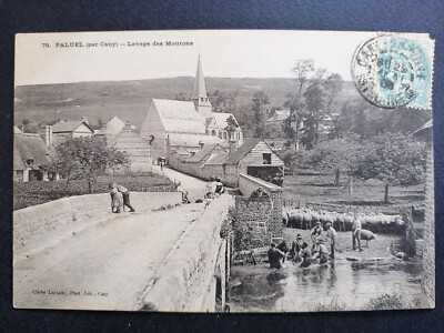 Stunning Card 76 - PALUEL by CANY in 1905 WASHING SHEEP Washing Sheep