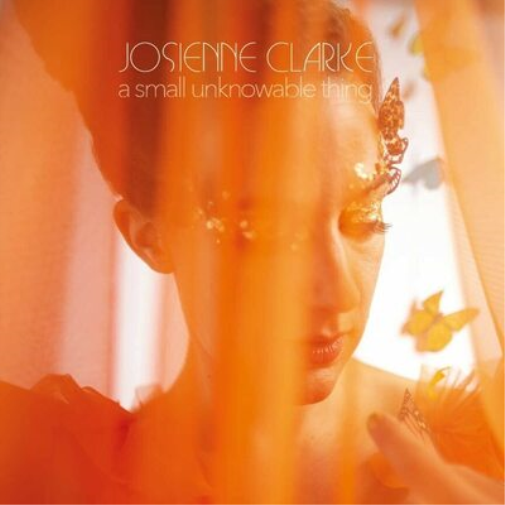 Josienne Clarke A Small Unknowable Thing (Vinyl LP) 12" Album