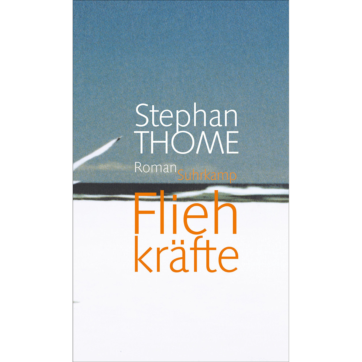 Thumbnail - Fliehkräfte: Roman Stephan Thome