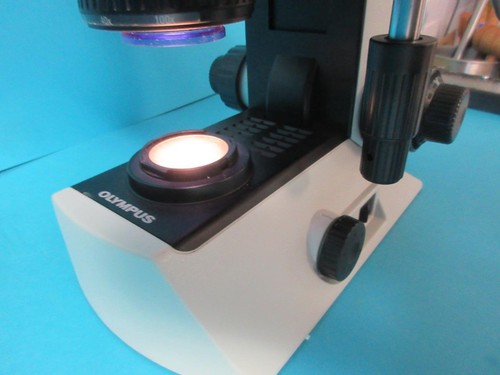 OLYMPUS CX21 BINOCULAR MICROSCOPE PLAN 4X/10X/40X/100X OBJECTIVES 10X EYEPIECES - Picture 4 of 22