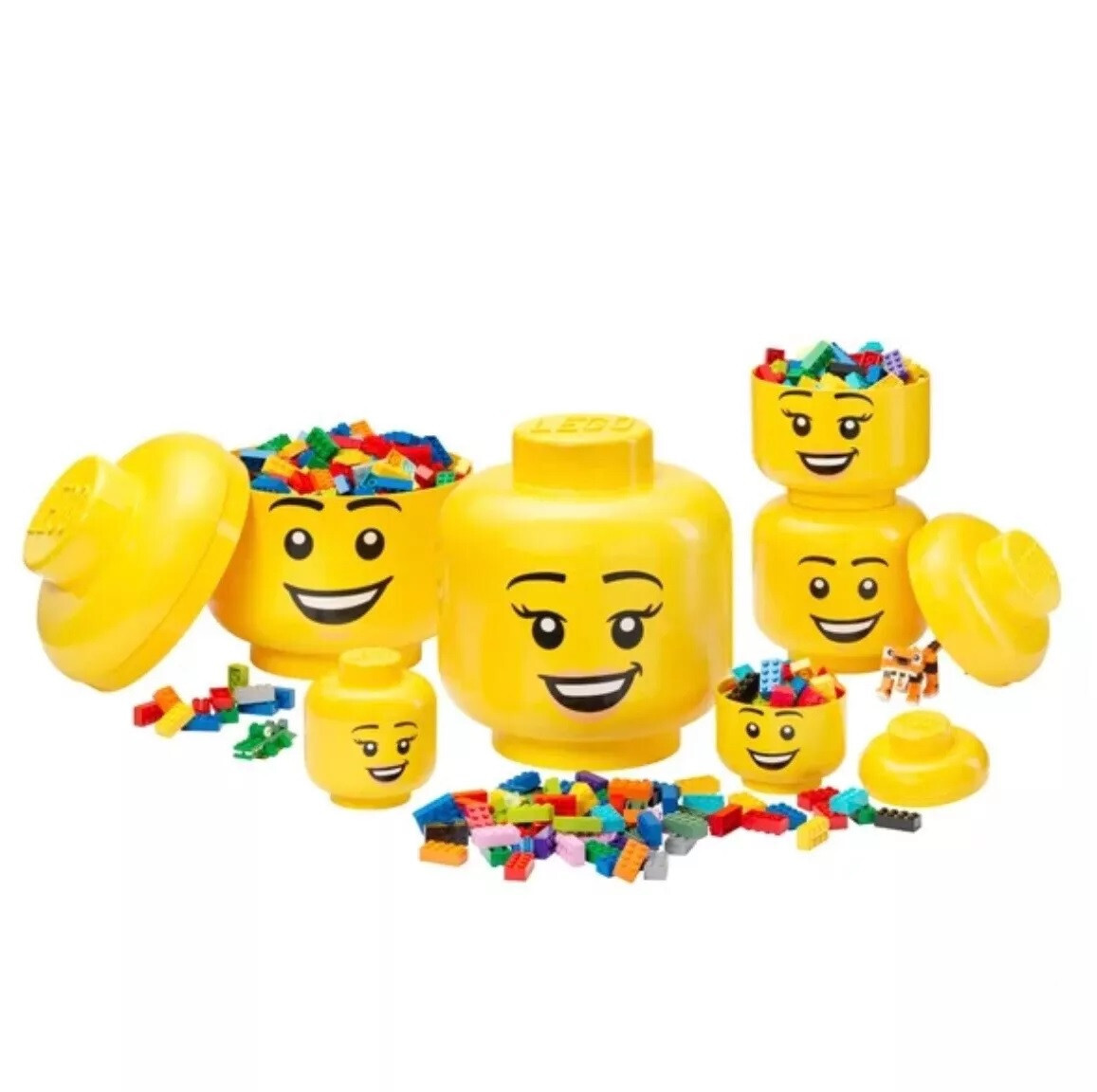 Afbeelding 5 van 6