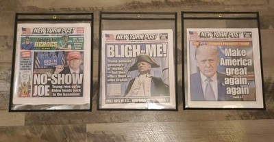 2020 Oct MAGA Again Again, No-Show, 2020 Apr 15,  New York Post New