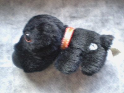 THE DOG  Artlist Collection - The Original Dog  Accept No Copycats Mini Beanie