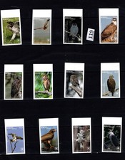 // NIUAFO'OU 2018 - MNH - IMPERF - NATURALEZA - AVES - ÁGUILAS - BÚHOS - FAUNA 