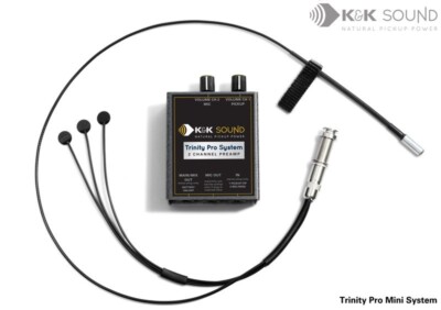 K&K Trinity Pro Mini