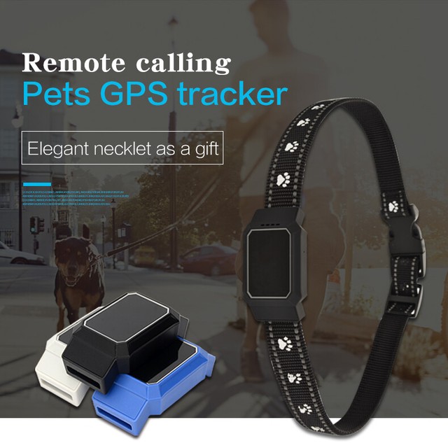 cat tracker online