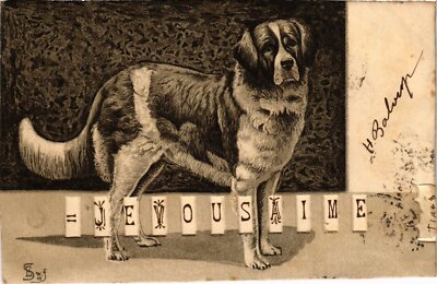 CPA AK St. Bernard DOGS (1388159)