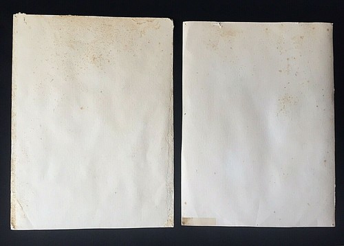 British School Watercolor Floral Studies 5 Paintings Signed J. Salmon. Antique - Picture 9 of 12
