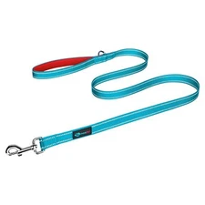 5 Feet Dog Leash with Comfortable Padded Handle Easy Snap Clasp - Reflective ...
