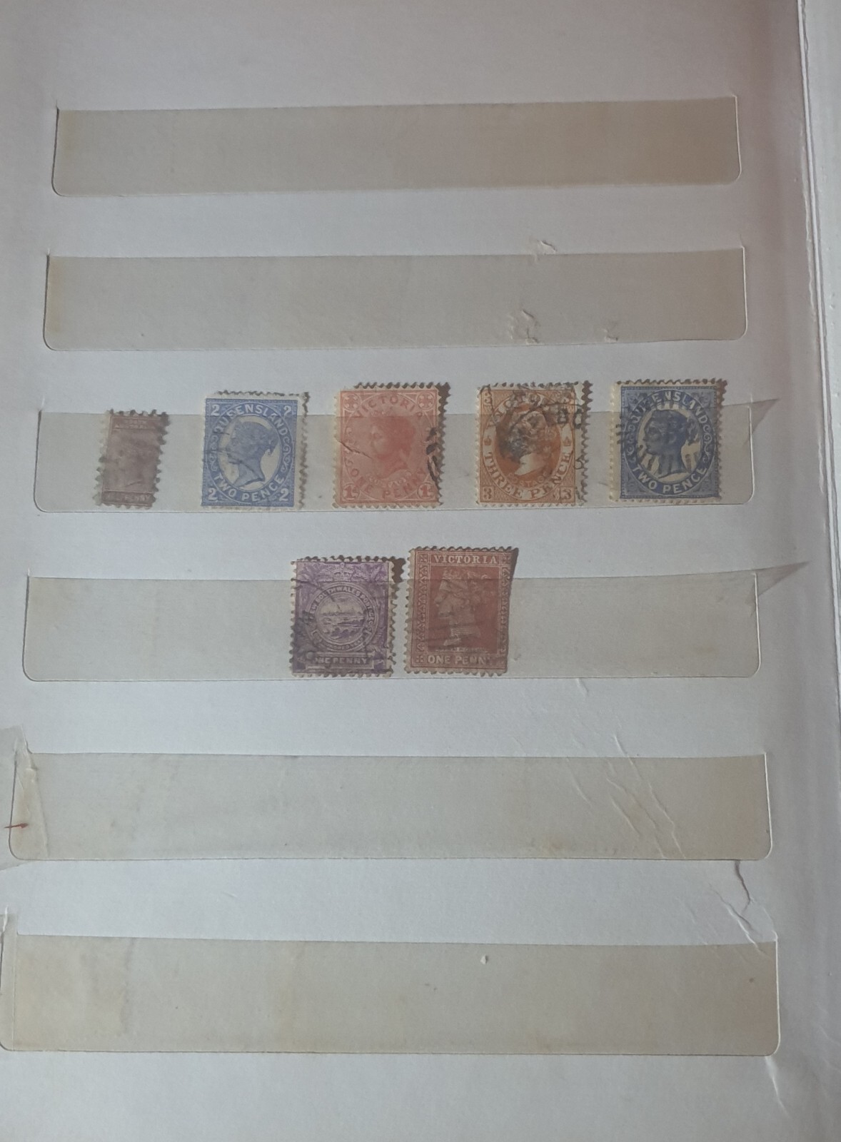 Picture 5 of 8