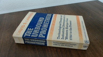 			The Unbound Prometheus: Technical Change and Industrial Developme		