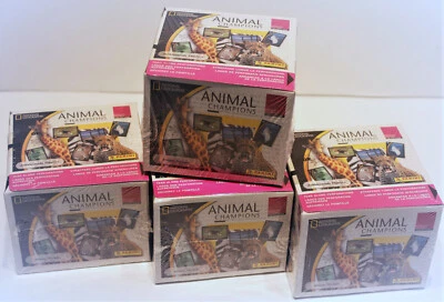 Panini NATIONAL GEOGRAPHIC ANIMAL CHAMPIONS 2007, 4 x BOX DISPLAY = 200 Tüten - Bild 1 von 4