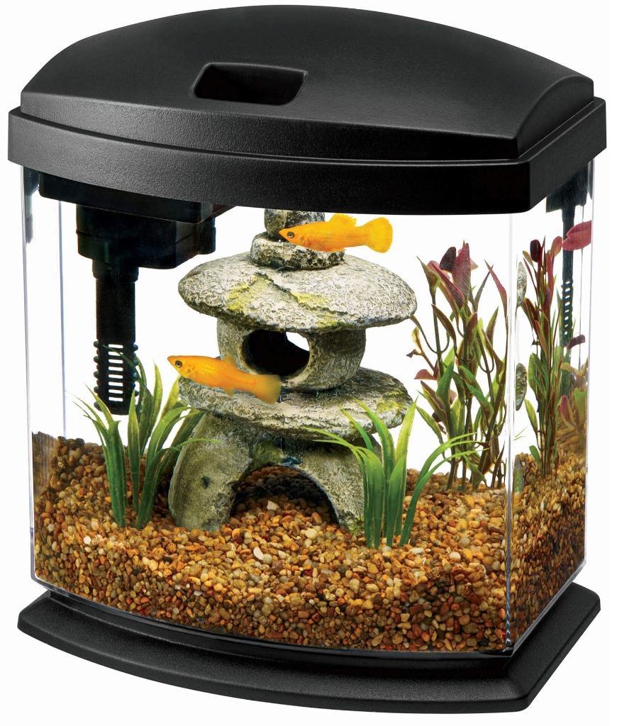 aqueon 29 gallon kit