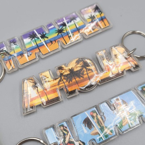 Lote de 4 Llaveros Hawaianos Souvenir Acrílico Surtido Usado - Imagen 5 de 8