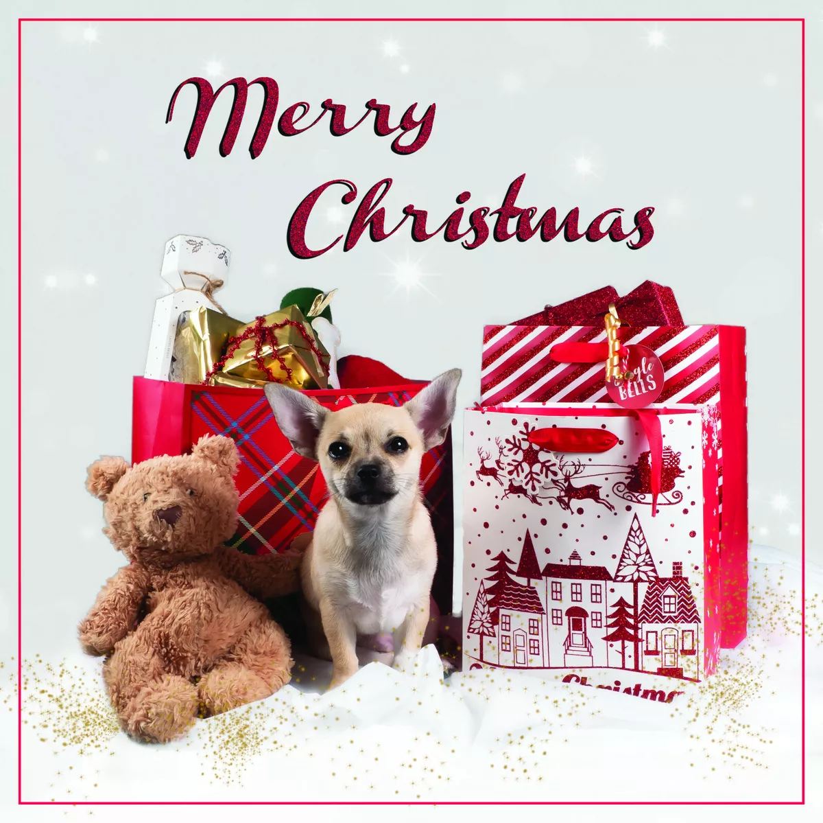 Merry christmas store chihuahua
