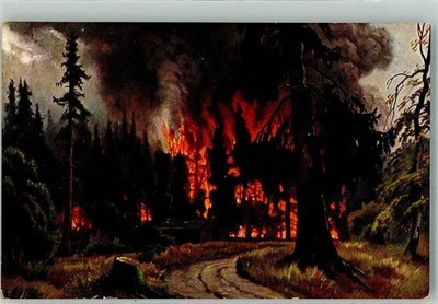 39894010 - Waldbrand Verlag F.E.D. Serie 475 Feuer