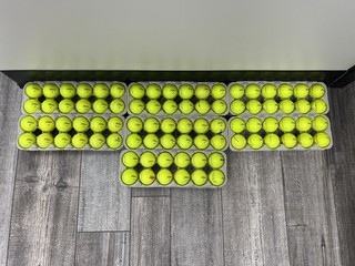 84 Yellow Titleist Pro V1 or V1x used Golf Balls Priv Club Finds 3A 4A.