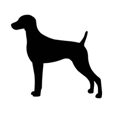 Weimaraner Vinyl Decal