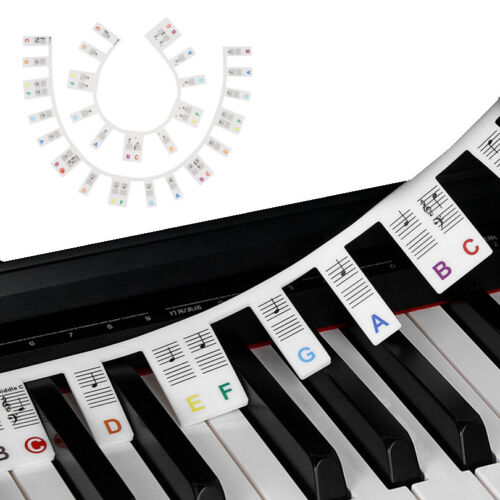 61 klawiszy Piano Note Kolorowy marker Silikonowe paski Bezpłatna pasta bez nakładki klejącej - Zdjęcie 1 z 9