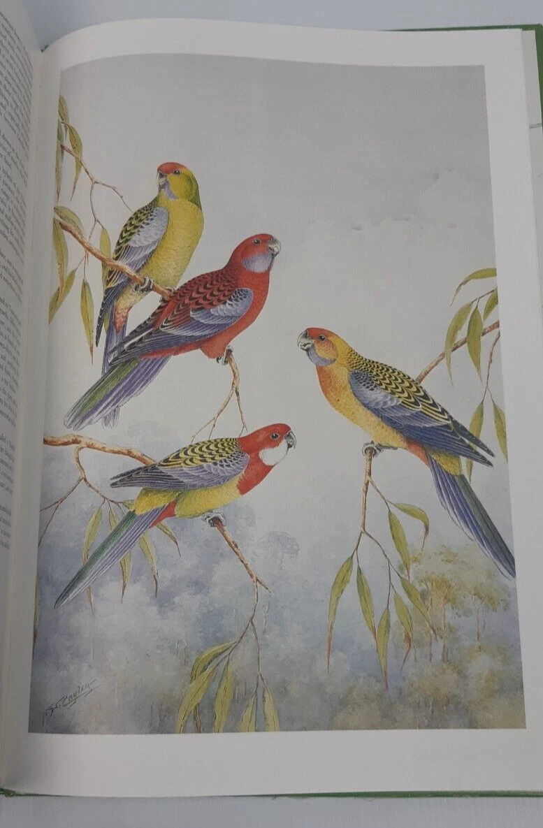 Picture 6 of 16