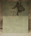 Foto 9 di 11