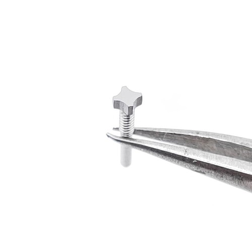 5 PIEZAS Tornillo de acero plateado 4 estrellas L8,62 H2,12 a 2,62 para estuche de reloj Richard Mille - Imagen 4 de 11