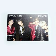 [STRAY KIDS] In Life / Back Door / Official Postcard - B