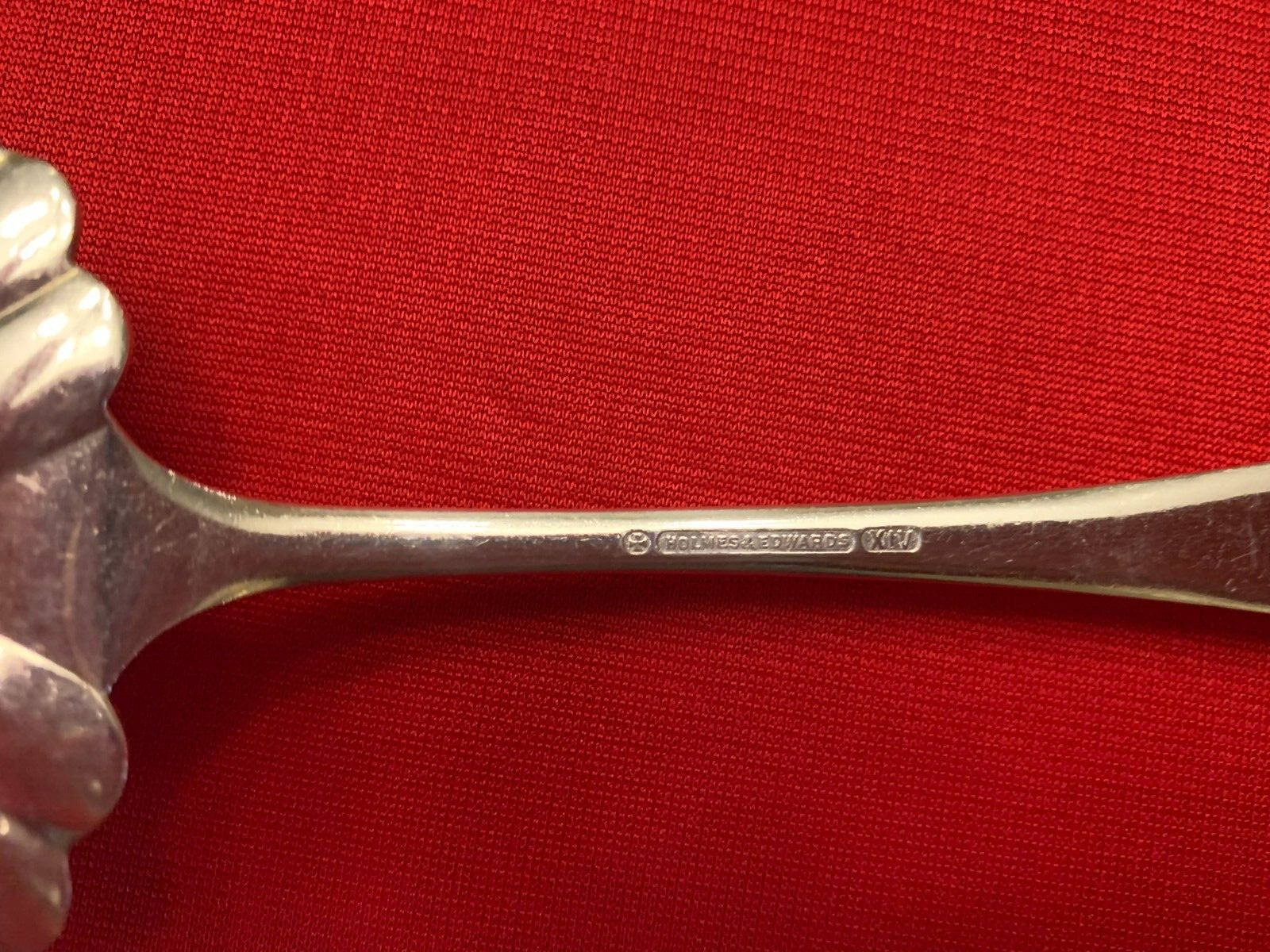 Picture 5 of 5