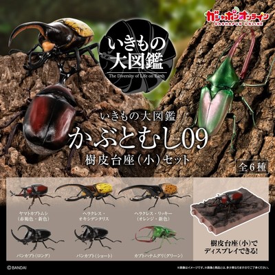 The Diversity of Life on Earth Beetle 09 Figure w/ Tree Bark Type