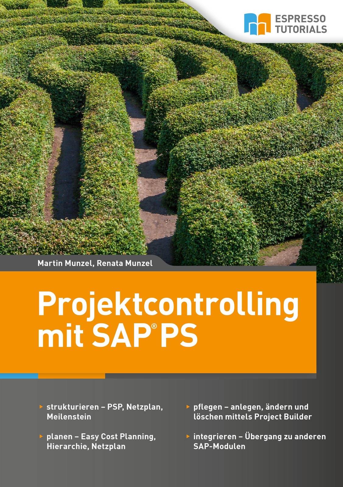Thumbnail - Projektcontrolling Mit Sap Ps | Renata Munzel (u. A.) | Taschenbuch |