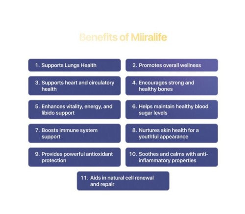 4x Miira-life by Revoobit International 24 Sachets Stem Cell Nutrition Per Box - Picture 8 of 9