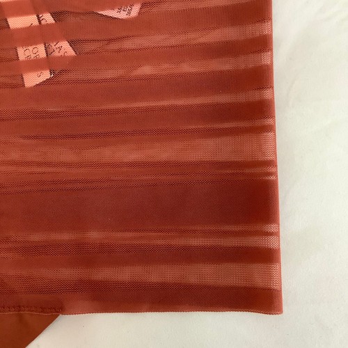 Victoria’s Secret Rusty Orange Stripe High Waist Thong Panties - Size XS - BNWT - Picture 3 of 4