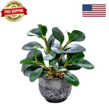 Elegant 12" Small Faux Ficus Plant in Weather Resistant Cement Pot - Home Decor
