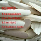 10/20PC Cuttlebone Cuttlefish Bone Sepia Cuttle Fish Pet Bird Food Calcium set^