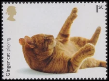 GB 4675 Cats Ginger cat playing 1st single MNH 2022