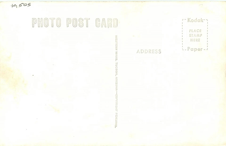 Postcard RPPC 1950s Arizona Bowie Desert Rose Gift Shop Highway 86 AZ24-2127 - Image 2 of 2