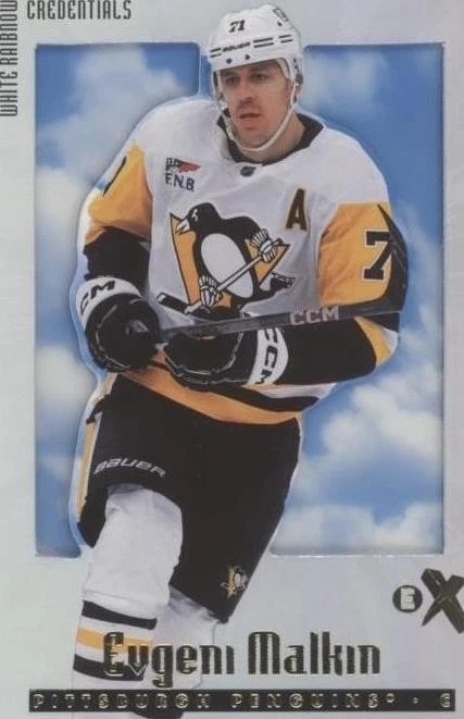 White Rainbow Credentials