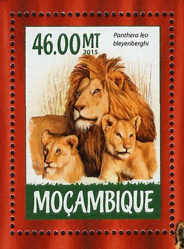 Wild Cats Stamp Panthera Leo Bleyenberghi Souvenir Sheet MNH #7976 - Picture 10 of 12