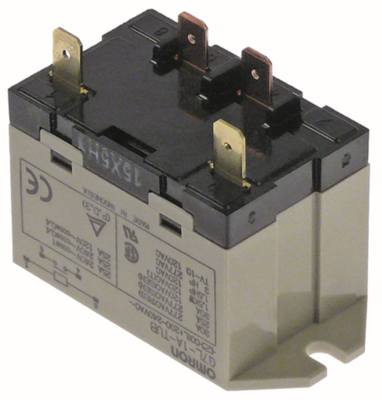 OMRON 15X5H1 Leistungsrelais für Lainox Anschluss F6,3 1NO 30A 230VAC