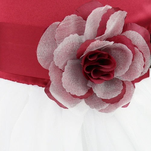 Niños Niñas Pétalos Tul Boda Dama Vestido Desfile Fiesta Princesa Vestido - Imagen 27 de 45