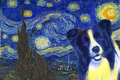 Collie Dog Style Starry Night Poster