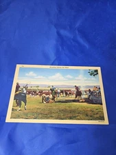 Branding Calves out West Linen Postcard