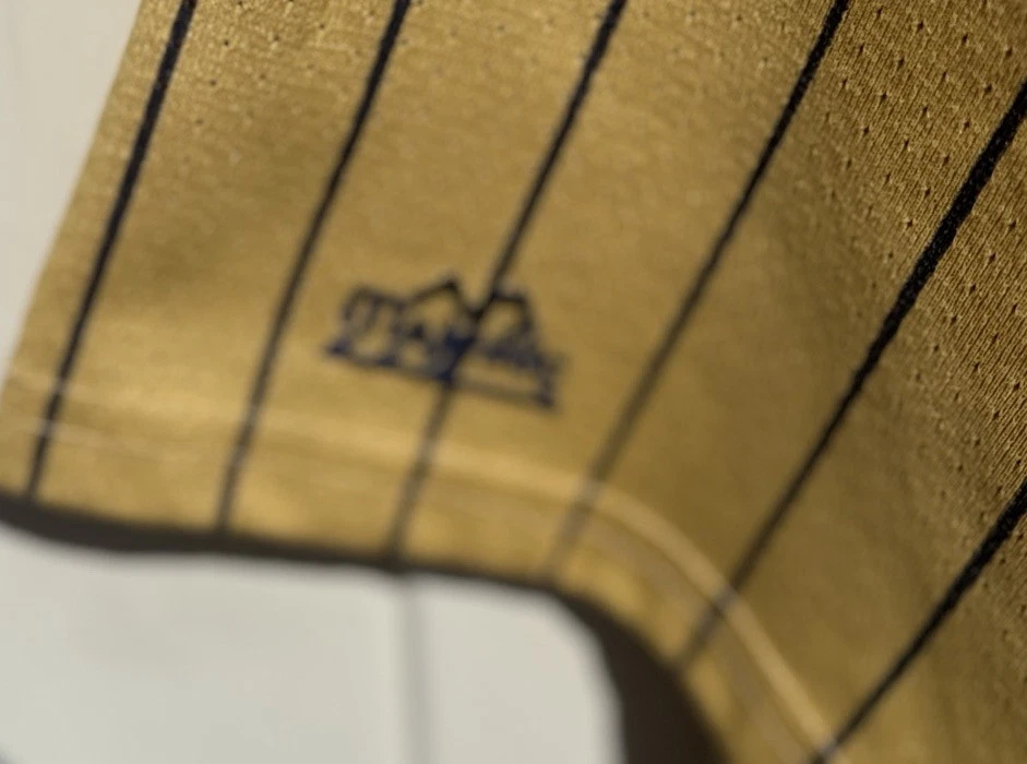 复古 罕见 大圣母大学 爱尔兰 PINSTRIPE 棒球球衣 XL — 第 2/4 张图片